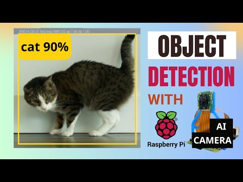 Video: Object Detection Raspberry Pi AI Camera